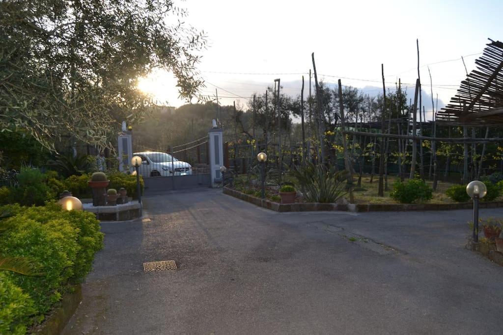 Limoneto Gargiulo Holiday home Sorrento