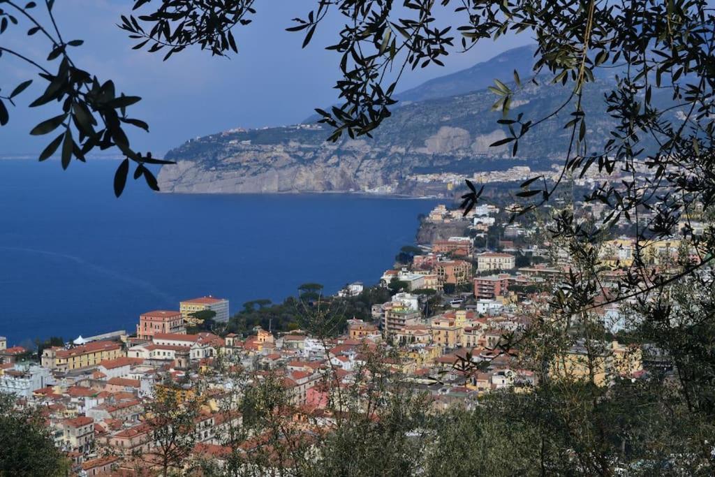Limoneto Gargiulo Sorrento