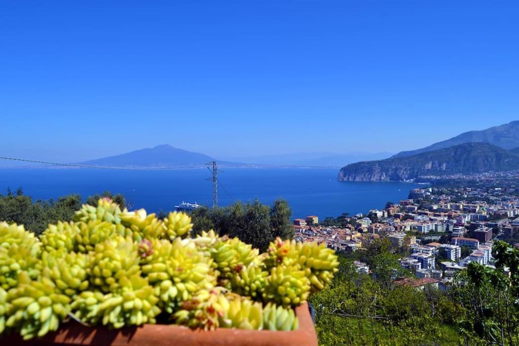 Limoneto Gargiulo * Sorrento
